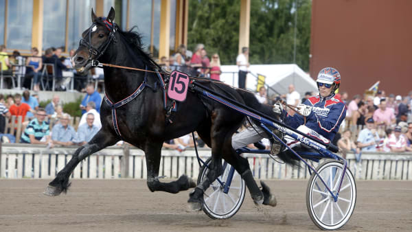 Foto: MICKE GUSTAFSSON / TR BILD