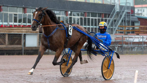 Foto: MIKAEL ROSENQUIST / TR BILD