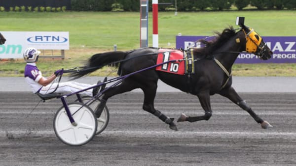 Foto: MICHAEL LISA/LISA PHOTO.