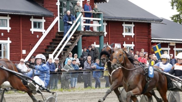 Foto: MIA TÖRNBERG/TR BILD