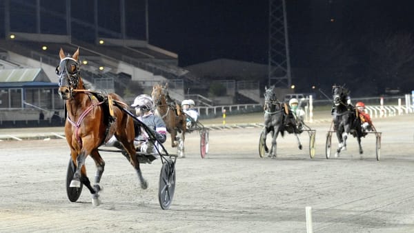 Foto: Jörgen Tufvesson/ALN