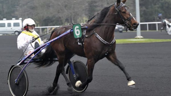 Foto: Stefan Melander/Stalltz.se