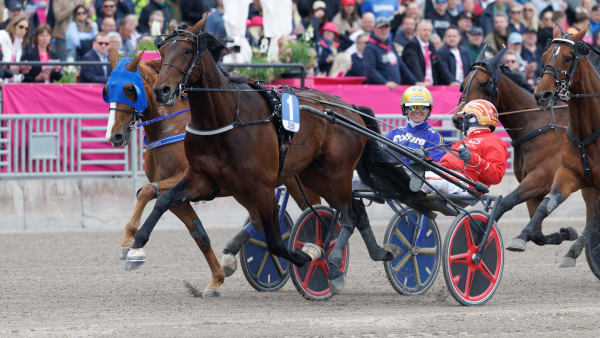 Foto: LENA EMMOTH / TR BILD