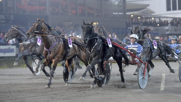 Foto: LARS JAKOBSSON / TR BILD