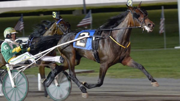 Foto: Stefan Melander/stalltz.se