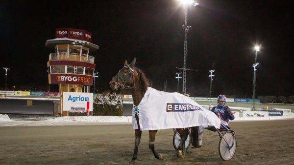 Foto: DAVID SCHREINER / TR BILD