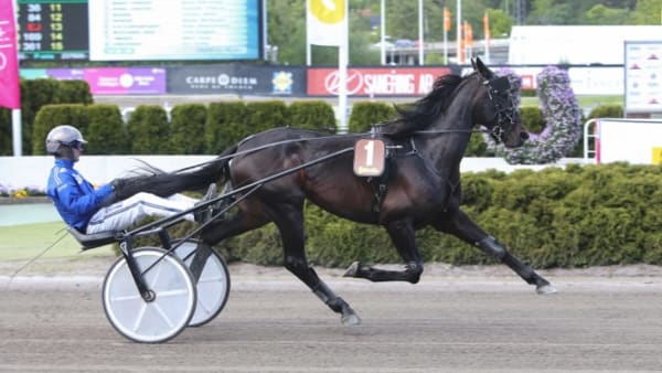 Foto: JEANNIE KARLSSON