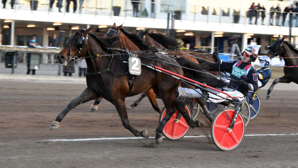 Foto: MALIN ALBINSSON / TR BILD