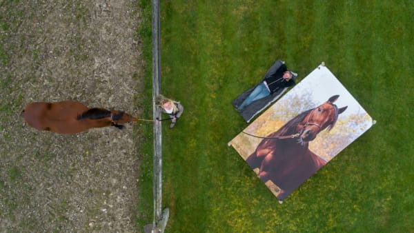 Foto: Thomas Blomqvist/TR Bild