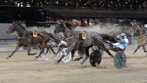 Foto: LARS JAKOBSSON / TR BILD