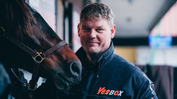 Foto: Alex ZONA - Trotteur Français