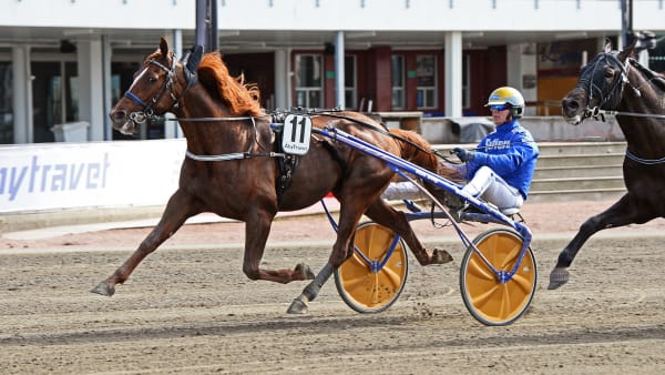 Foto: MALIN ALBINSSON / TR BILD