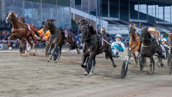 Foto: MIKAEL ROSENQUIST / TR BILD