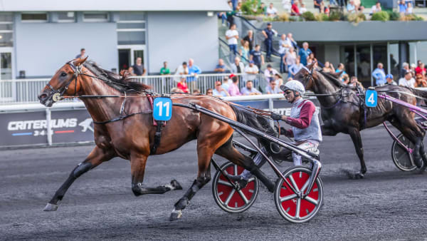 Foto: BRUNO VANDEVELDE/LE TROT