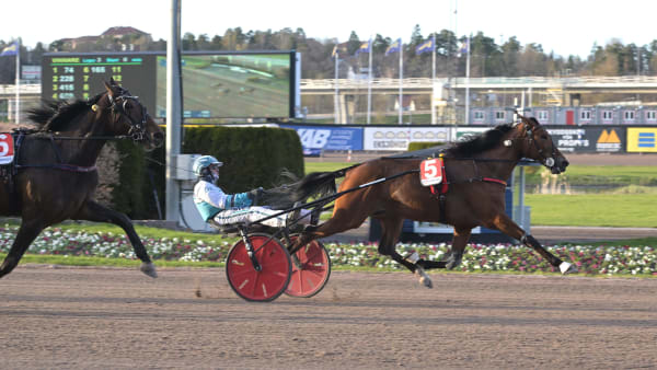 Foto: LARS JAKOBSSON / TR BILD