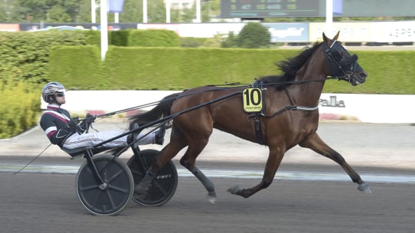 Foto: LARS JAKOBSSON / TR BILD