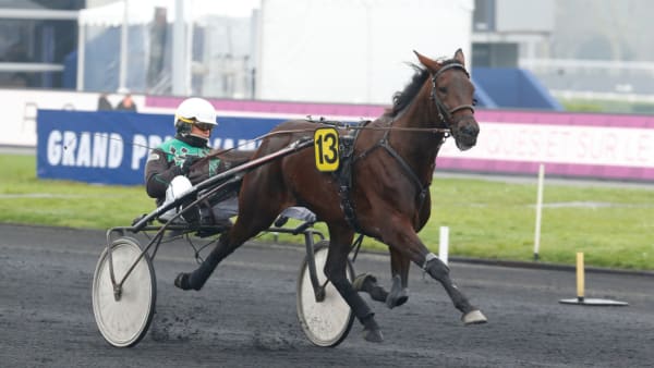 Foto: Thomas Blomqvist