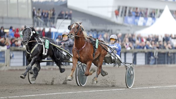 Foto: MIA TÖRNBERG/TR BILD