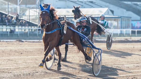 Foto: MIKAEL ROSENQUIST / TR BILD