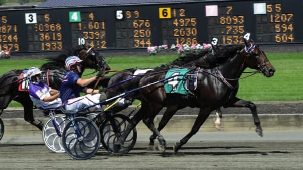 Foto: STEFAN MELANDER/STALLTZ.SE