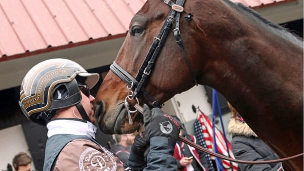 Foto: MARIA HOLMÈN/TRAVRONDEN