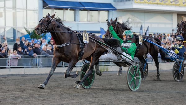 Foto: LENA EMMOTH / TR BILD