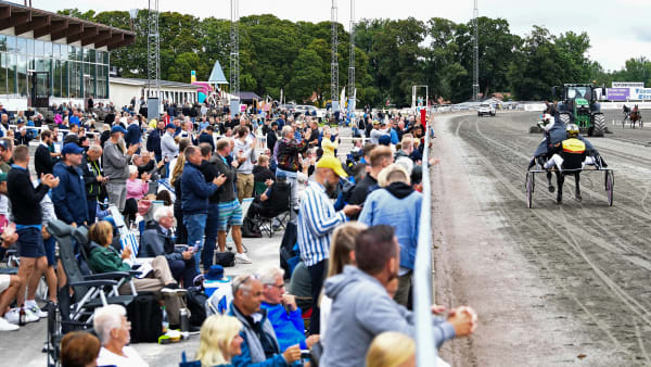 Foto: MALIN ALBINSSON / TR BILD