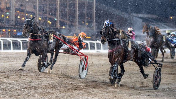 Foto: MIKAEL ROSENQUIST / TR BILD