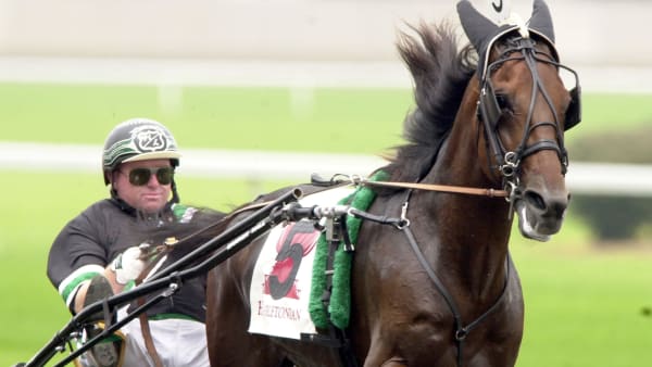 Foto: THOMAS BLOMQVIST / TR BILD