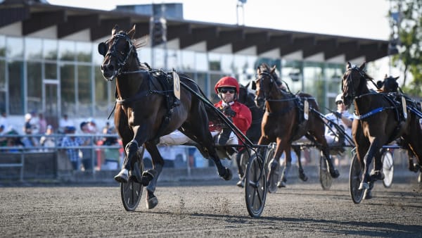 Foto: MALIN ALBINSSON / TR BILD