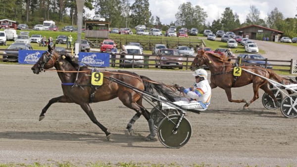 Foto: LENNART KIHLMAN/ALN