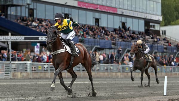 Foto: MATILDA ÖHRMAN / TR BILD