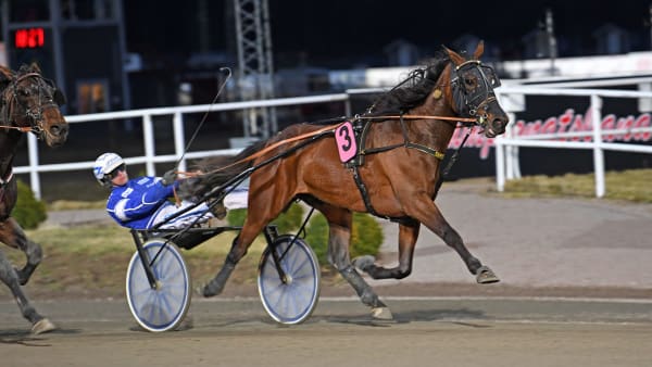 Foto: MALIN ALBINSSON / TR BILD