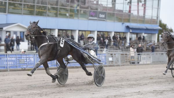 Foto: LARS JAKOBSSON / TR BILD