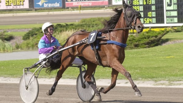 Foto: TOMMY ANDERSSON / ALN / TR BILD