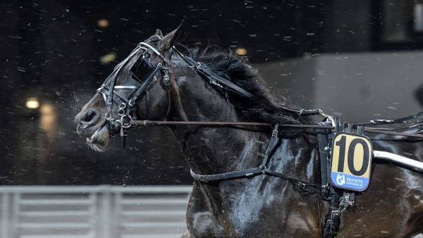 Foto: LARS JAKOBSSON / TR BILD