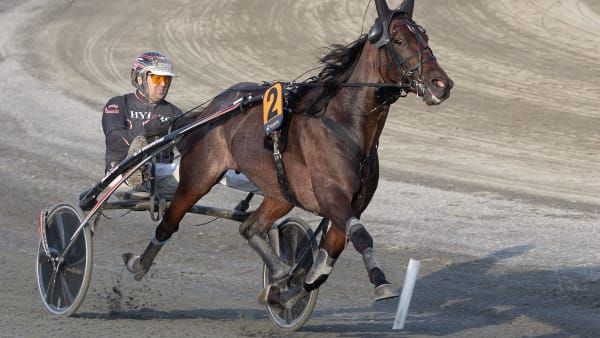 Foto: ANDERS KONGSRUD/HESTEGUIDEN.