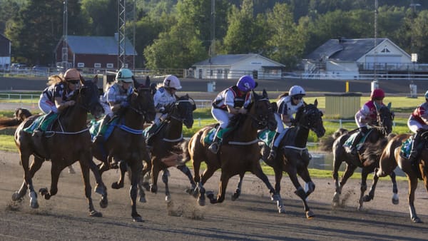 Foto: DAVID SCHREINER/TR BILD