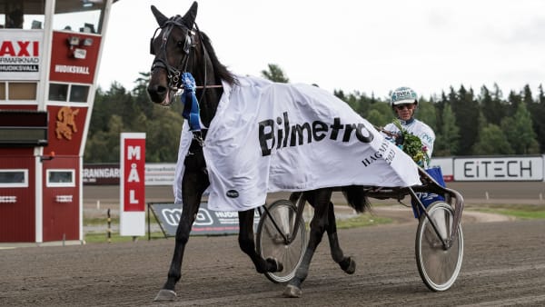 Foto: LENA EMMOTH / TR BILD