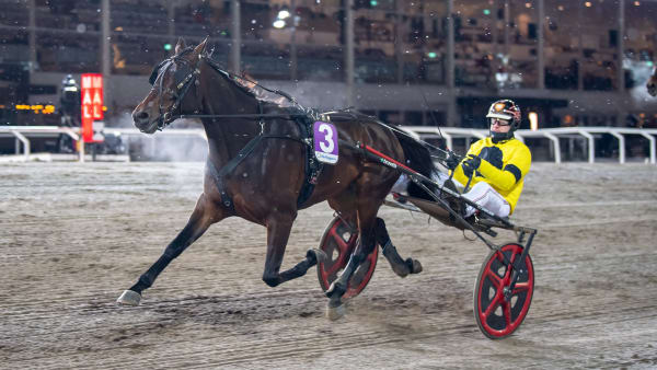 Foto: MIKAEL ROSENQUIST / TR BILD