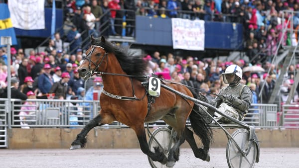 Foto: MARIA HOLMÉN / TR BILD