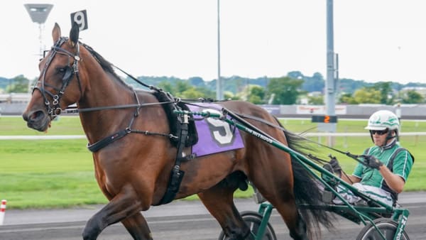 Foto: Thomas Blomqvist/TR Bild