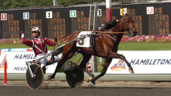 Foto: STEFAN MELANDER/STALLTZ.SE