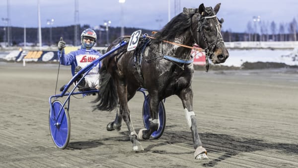 Foto: LENA EMMOTH / TR BILD