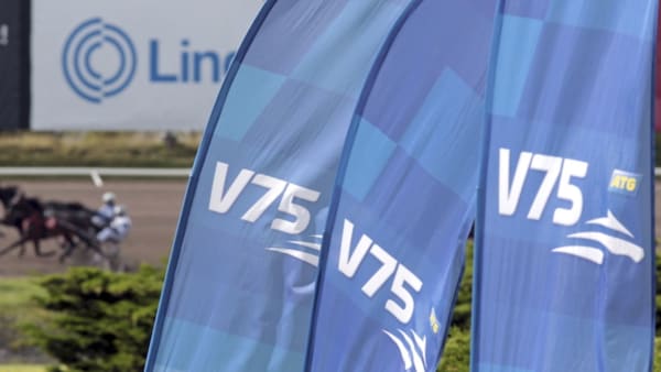 Foto: Mia Törnberg/TR Bild