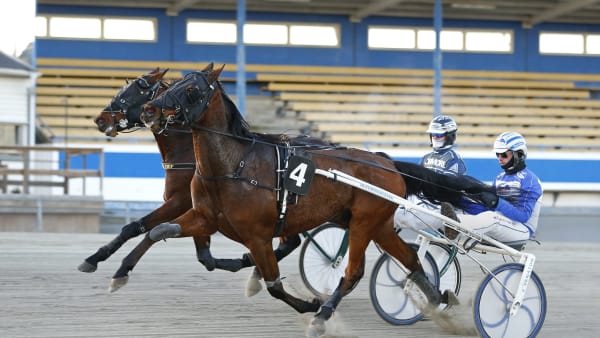 Foto: MARIA HOLMÉN / TR BILD