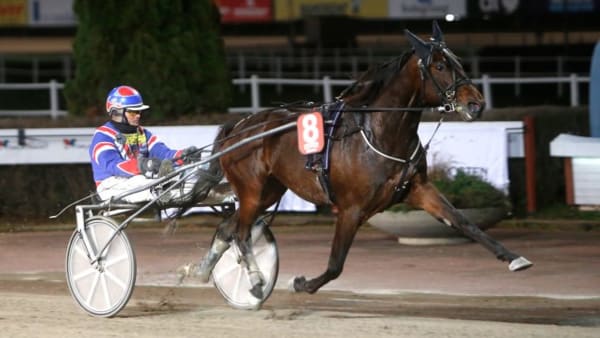 Foto: MICKE GUSTAFSSON/ALN