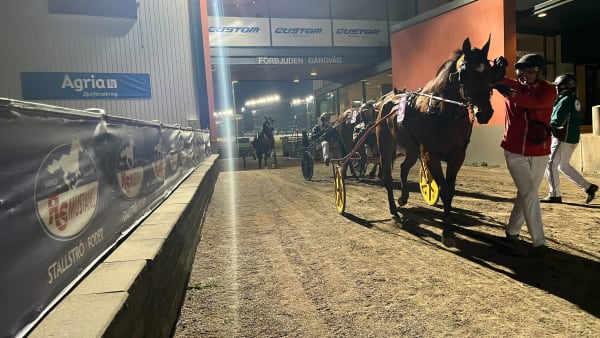 Foto: Mattias Holmgren / TR Bild