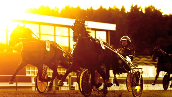 Foto: MARIA HOLMÉN / TR BILD