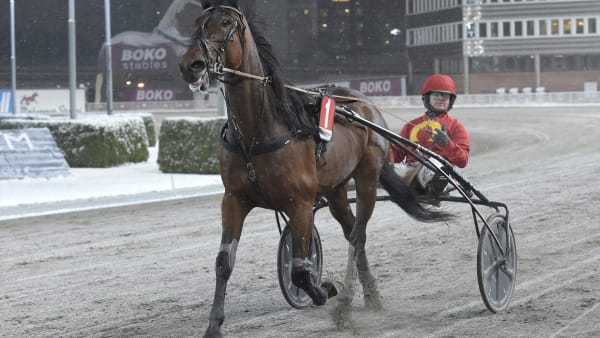 Foto: LARS JAKOBSSON / TR BILD